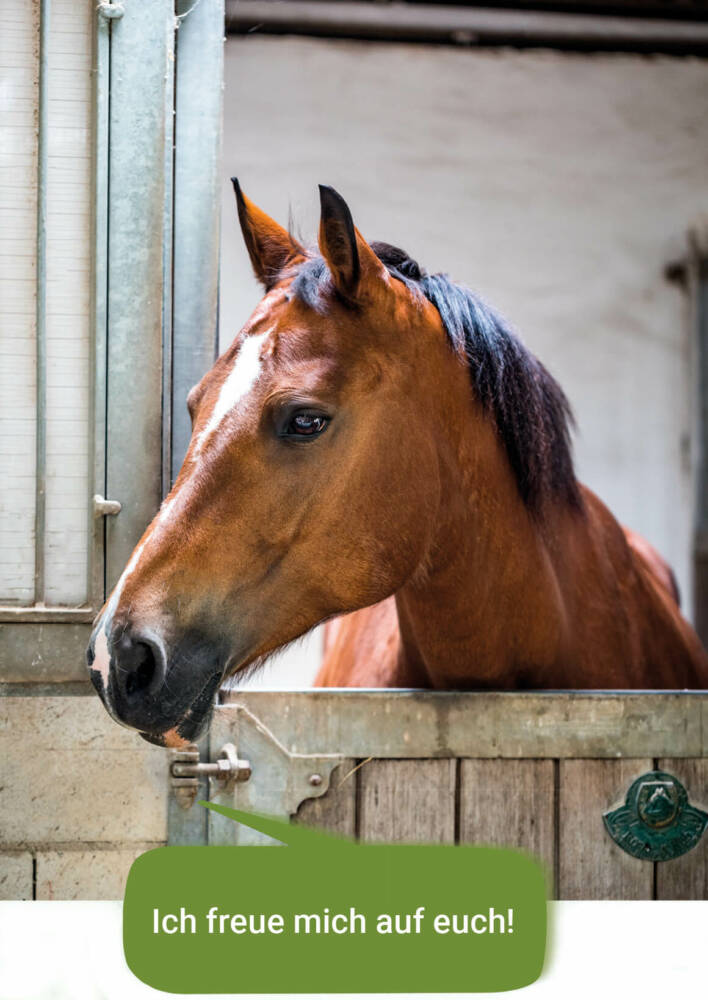 Pferd mit Sprechblase: 'Ich freue mich auf Euch!'
